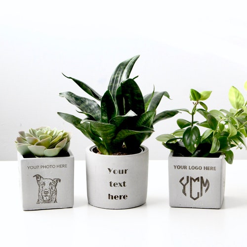 Laser Engraved Personalized Concrete Planter Pot | Custom Photo Logo Gift