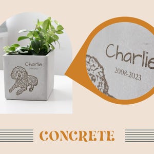 a picture of a potted plant with a name tag