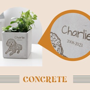 a picture of a potted plant with a name tag