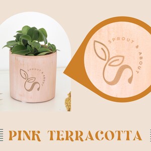 a pink terracotta pot with a plant in it