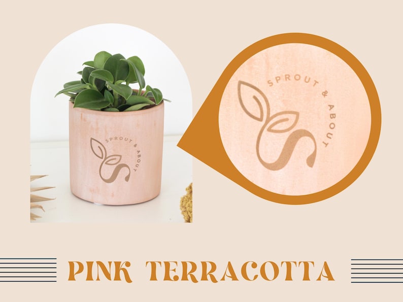 a pink terracotta pot with a plant in it