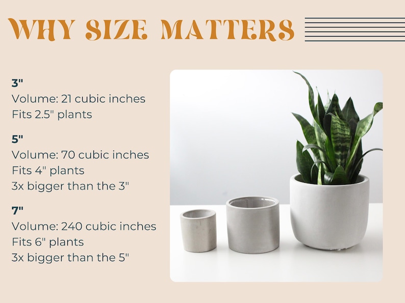 three different-sized planters, each with varying volumes and plant types, illustrating the importance of size when it comes to plant care and arrangement.