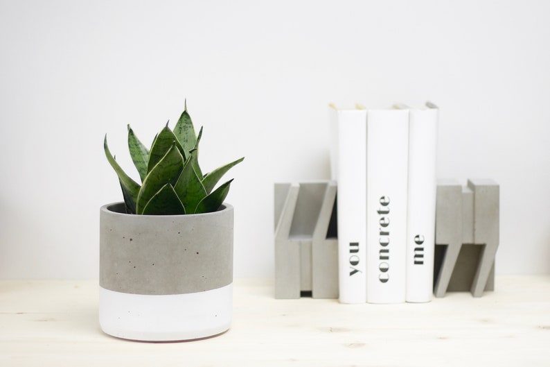 Large Cylinder Concrete Planter Round Plant pot Modern Etsy