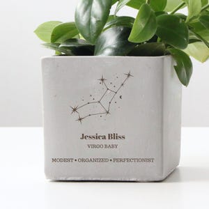Personalized Virgo Birthday Gift, Custom Name Planter Pot, August September Birthday Gift, Plant Lover Best Friend Gift, Zodiac Sign Planter