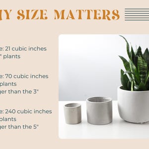 three different-sized planters, each with varying volumes and plant types, illustrating the importance of size when it comes to plant care and arrangement.