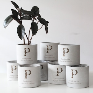May include: A display of grey cylindrical plant pots, each featuring a brown letter "P" and the text "Thank you for 15 years of service!" One pot holds a plant with dark green leaves.