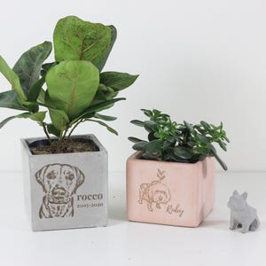Dogs and Pets Gift Personalized | Engraved Custom Cube Planter Pot
