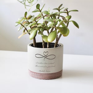 A potted succulent plant with a heart-shaped design on a white ceramic planter, placed on a white surface.