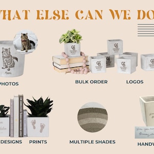 The image is a collage of various items, including a cat mug, potted plants, books, and other decorative objects.