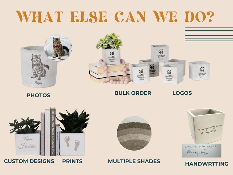 The image is a collage of various items, including a cat mug, potted plants, books, and other decorative objects.