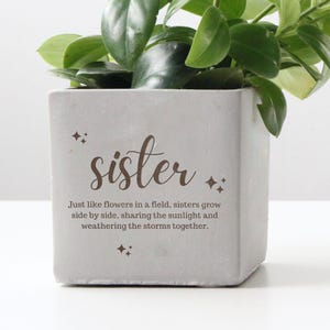 Plant Lover Sister Birthday Gift, Engraved Planter Pot, Christmas Gift For Siblings, Bonus Sister 18th 30th 35th 25th 40th Birthday Gift