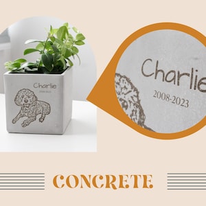 a picture of a potted plant with a name tag