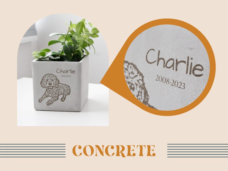 a picture of a potted plant with a name tag