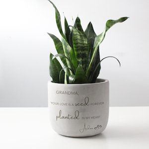 May include: A snake plant in a grey ceramic pot. The pot is inscribed with the words "Grandma, Your love is a seed planted in my heart forever. Aidan". The plant has long, green leaves with lighter green patterns.