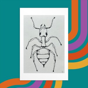 The Ant Illustration, Insects Lovers Gifts, Insect Wallart, Bug Postcard, Carte Postale Fourmis, Entomophile Gift, Black And White Artwork