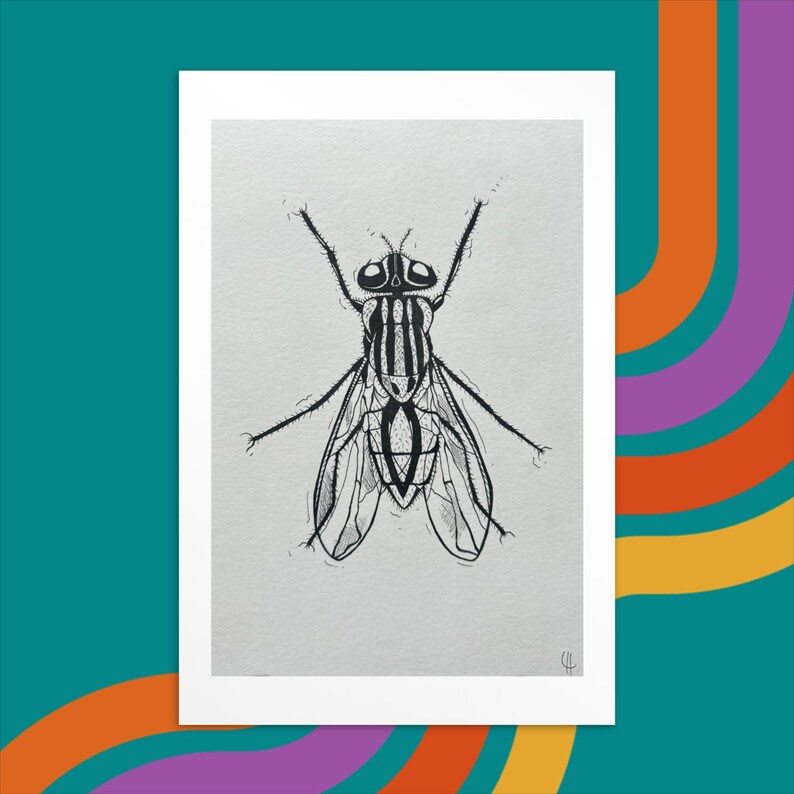 Fly Postcard The Fly 4x6 Art Print - Fine Line Insect Artwork - Montreal Artist - Etsy