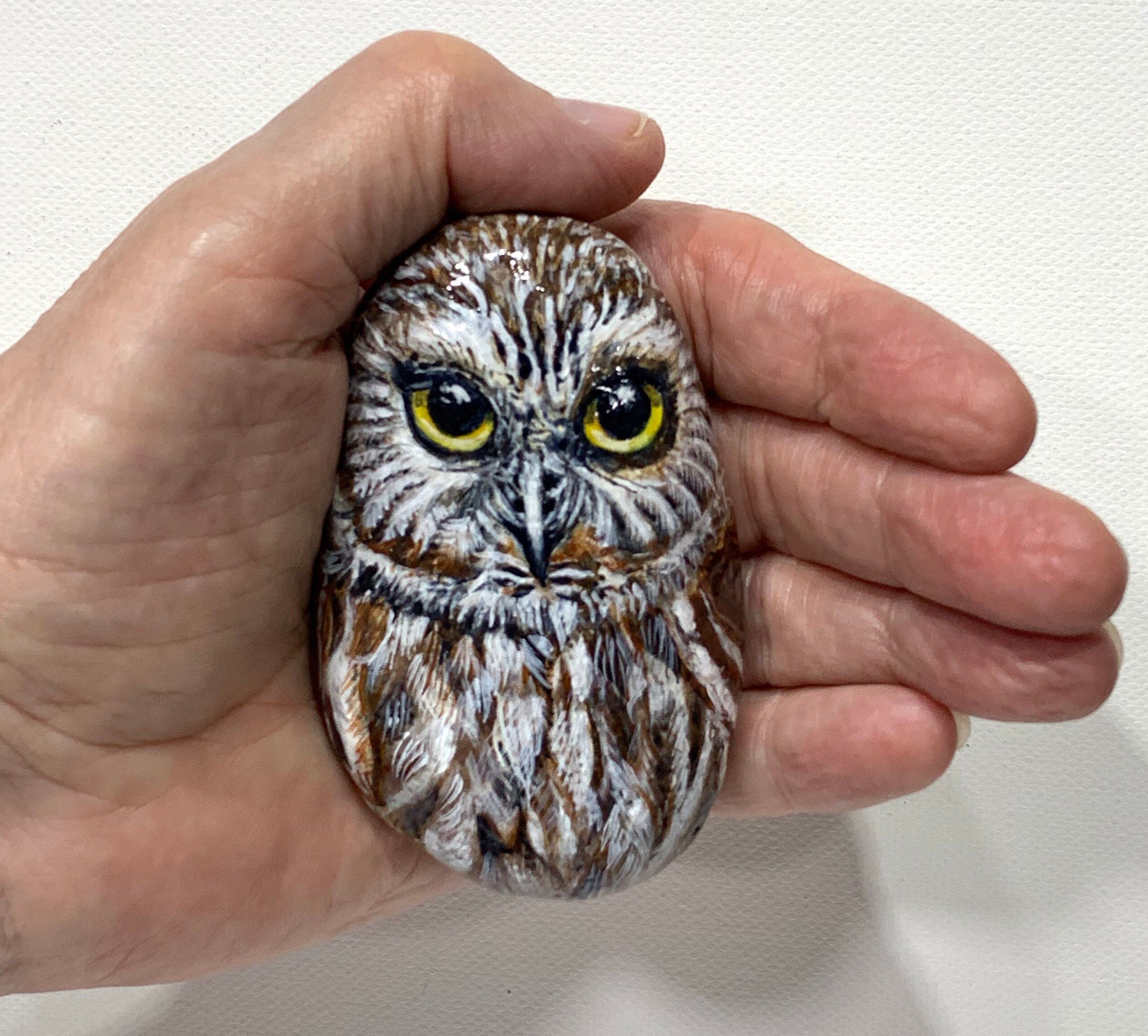 Chouette Peinte à La Main sur Un Rocher.