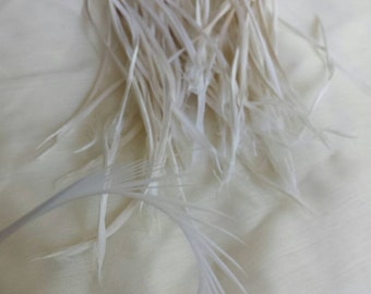 wholesale white feathers