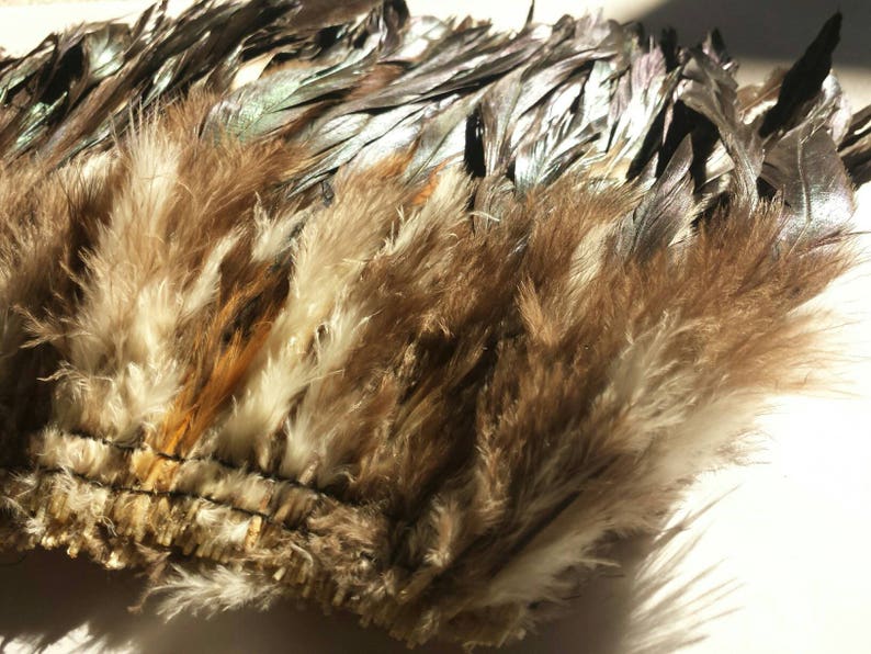 Natural Black Rooster Feathers Bulk Wholesale Feather Etsy