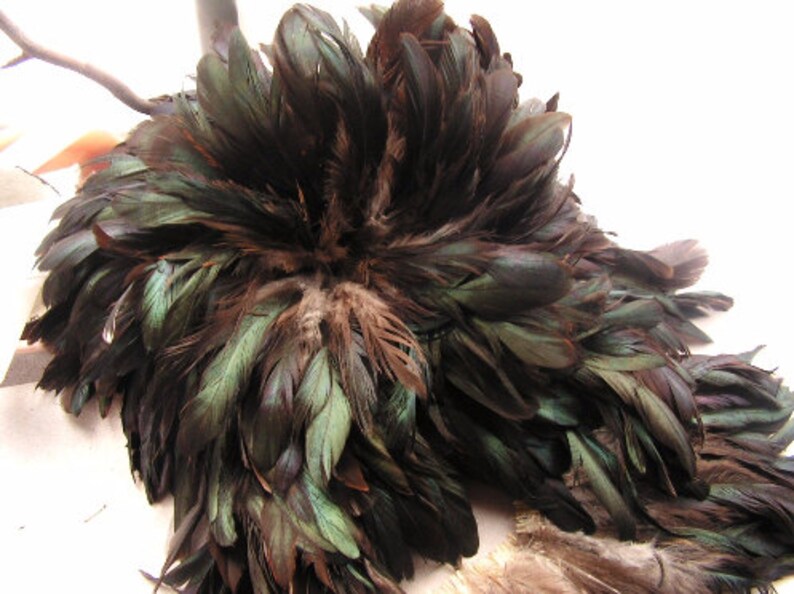 Natural Black Rooster Feathers Bulk Wholesale Feather Etsy
