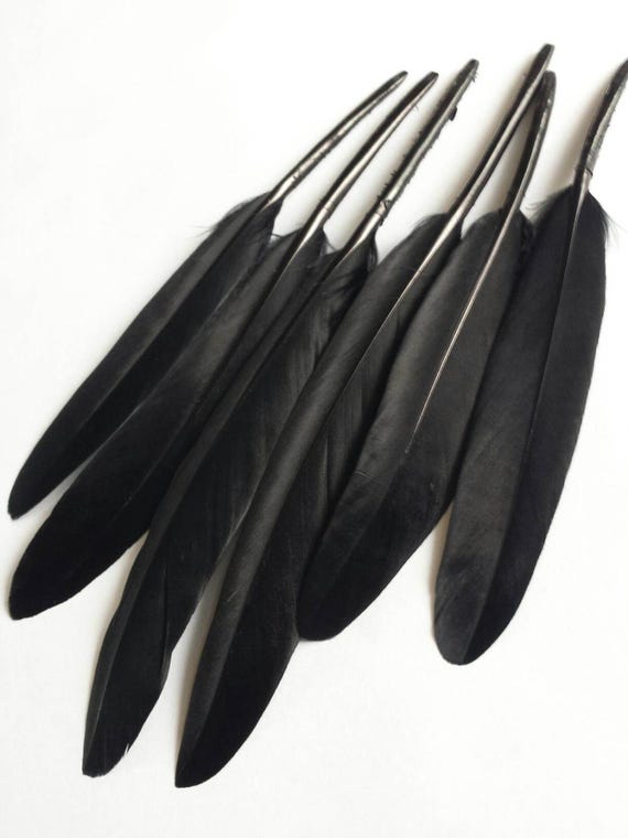 Black Goose Feathers Goose Quill Feathers Set of 6 Feathers Etsy