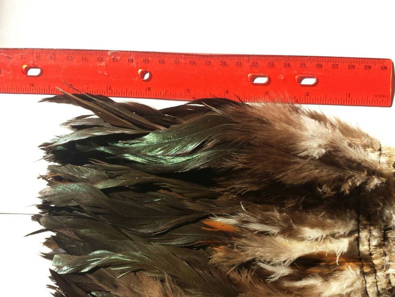 Natural Black Rooster Feathers Bulk Wholesale Feather Etsy