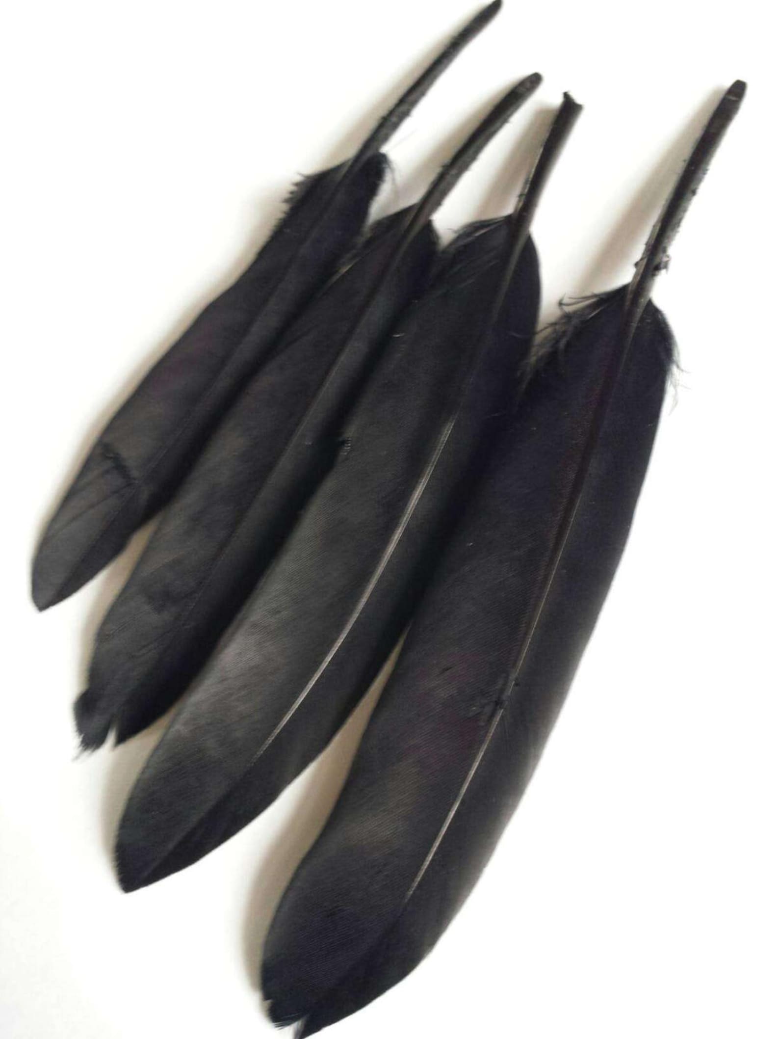 Black Goose Feathers Goose Quill Feathers Set of 4 Feathers Etsy