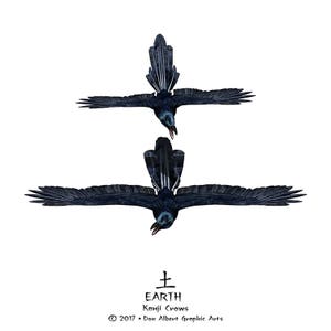 Earth, Kanji, Crows, Japanese, Chinese, Asian, Calligraphy Characters, Birds, Flight, Flying, Feather, Orient