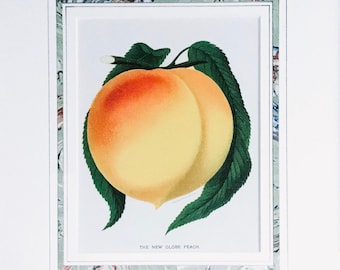 Georgia Peach Lithograph