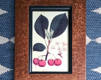 Cherries Color Lithograph