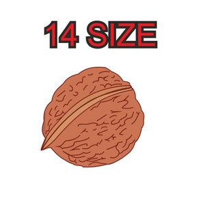 以下が含まれることがあります： 中央に目に見える継ぎ目が走る茶色のクルミ。クルミの上に「14 SIZE」という文字が書かれている。