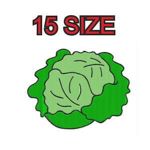 Pode incluir: Um repolho verde com uma camada exterior de folhas e um núcleo interior branco. A imagem é rotulada como "15 SIZE".