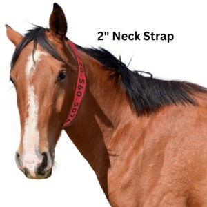 Personalized Horse Evacuation Identification Neck Strap; 2 inch wide Bright Orange Nylon Webbing with Embroidered Phone Number