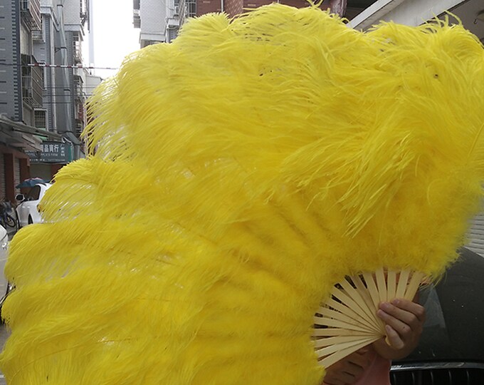 Burlesque Fans,dance Feather Fans,,ostrich Feather Fans,size