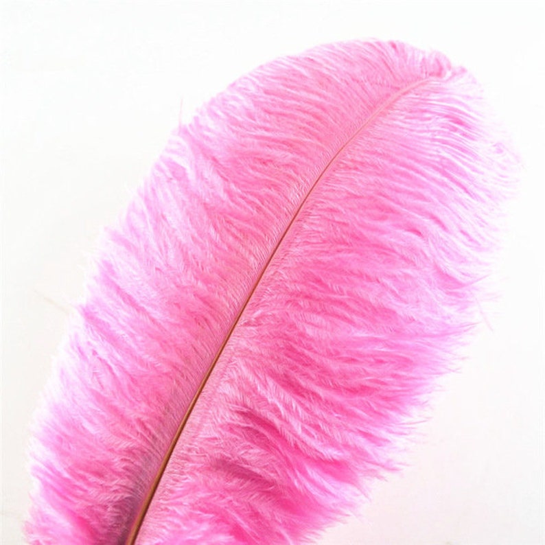100pieces 6-8inch Ostrich Feathers for Wedding - Etsy