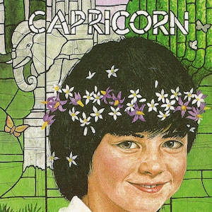 Cartolina d'epoca con oroscopo del segno zodiacale - Artista Brian Partridge, Capricorno, ragazza con corona di fiori, arte anni '90, anni '90, compleanno di gennaio