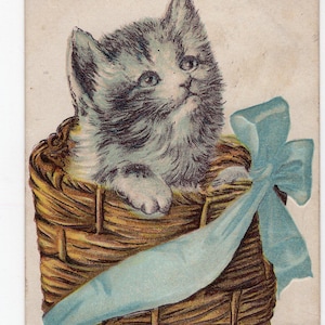 Cartolina antica raffigurante un gattino in un cesto - graziosa cartolina illustrata, in rilievo, soffice gattino grigio, fiocco blu, tema animale, ritratto di animale domestico