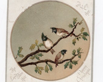 Miniature antique garden birds Christmas card, tiny Victorian scrap, tiny bird vignette, collectible Christmas, Raphael Tuck