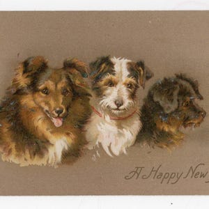 Antike süße Hunde und Welpen Kunstpostkarte - flauschige, süße Welpen, Helena Maguire, Haustier Porträt, Familie, Collie, ungepflegter Terrier