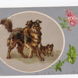 Antike süße Hunde- und Welpe Kunstpostkarte - flauschige niedliche Welpen, Helena Maguire, Haustierporträt, Familie, shabby chic, silber matt