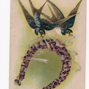Ancienne carte postale en relief avec des hirondelles et des fers à cheval - carte de voeux porte-bonheur, violettes, crème et violet, merles bleus, jolis oiseaux, ruban argenté