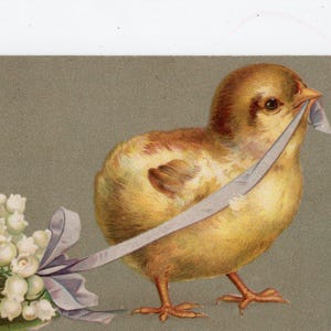 Carte postale ancienne de poussin de Pâques et de fleurs - carte de voeux vintage, Misch & Co, poulet printanier jaune, ruban violet, muguet