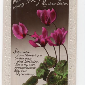 Carte postale photo de fleurs de cyclamen antiques, photo de plante antique, vraie carte photo, carte de vœux d’anniversaire soeur, photo de plantes d’intérieur vintage