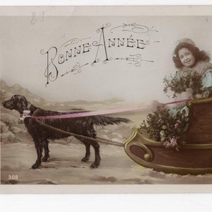 Antica cartolina francese con cani e slitte - bambina su slitta di legno, pointer, setter, Bonne Annee, vera foto colorata