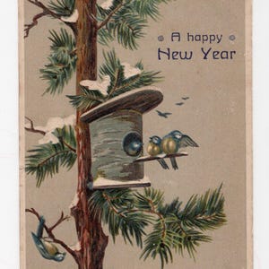 Cartolina d'epoca in rilievo di Capodanno: cinciallegre, uccelli da giardino, vacanze invernali, rami di abete, dare da mangiare agli uccelli, birdwatching