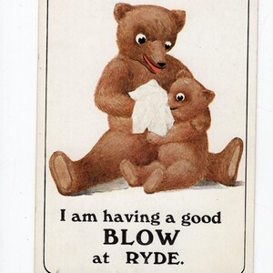 Carte postale anthropomorphe antique d'ours en peluche - coup, maman et bébé, nouveau bébé, nouveauté de bord de mer, fêtard, ours humanisés, raver, Ryde