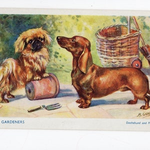 Vintage Mabel Gear Pekingese & Dachshund dog art postcard, The Gardeners, vintage, pet portrait, dog art, garden japes, cute picture