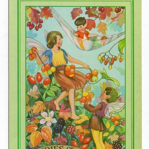 carte postale vintage fées de la haie, art de lutin M Sherborne, illustration pour enfants, fées fleurs garçon, décoration de chambre d'enfant, couleur automne