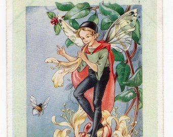 ACEO Limited Edition Flower fairy Honeysuckle fairies Nursery decor idea