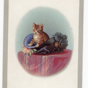 Antica cartolina di Natale gattino gatto, immagine vittoriana in miniatura, gattino soriano con cappello, Raphael Tuck, dolce biglietto d'auguri in miniatura